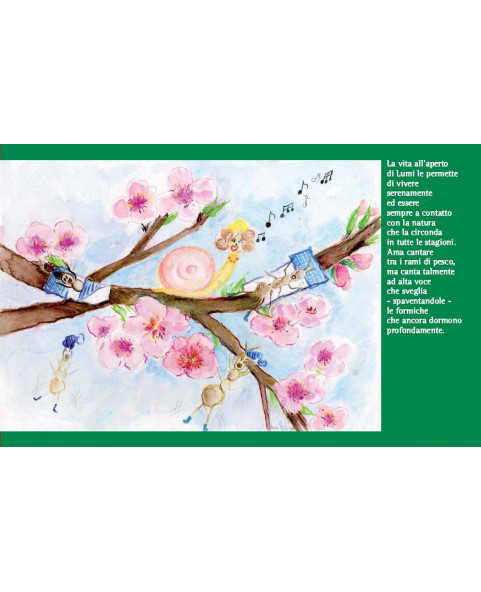 The seasons of Lumi