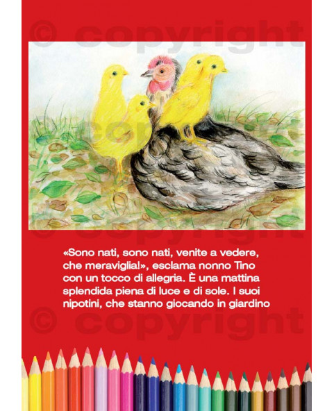 Leggere e colorara Pz 50