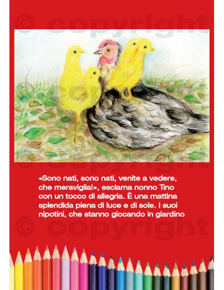 Leggere e colorara Pz 50