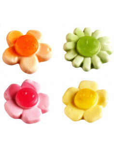 FIORI COLORATI FRUTTA KG 3