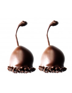 duva-dark-cerisettes,liqueur-cherry,dark-chocolate-cherries,premium-chocolates,cherry-chocolates,gourmet-confectionery