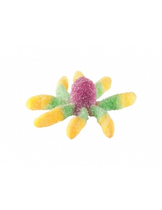 OCTOPUS FRIZ FINI KG 1 2