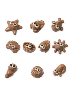 seafood-pralines,hazelnut-chocolate,milk-chocolate,filled-pralines,bulk-sweets,gluten-free