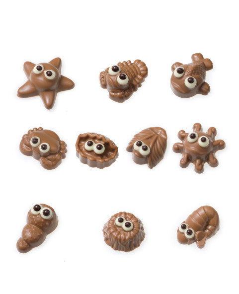 frutti-di-mare,praline-nocciola,cioccolato-al-latte,praline-ripiene,dolciumi-sfusi,senza-glutine