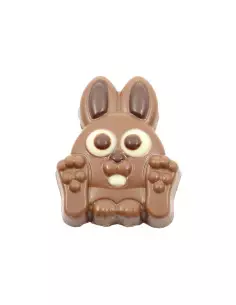chocolate, bunny, milk, figure, sweet, gift, party