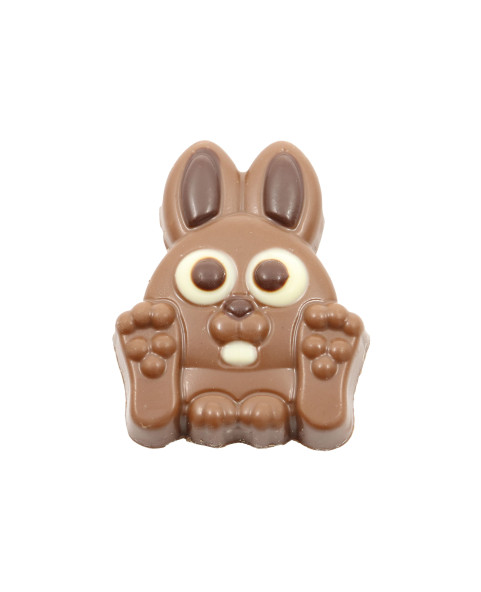 cioccolato, bunny, latte, figura, dolce, regalo, festa