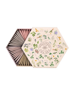 tea-wellness,scatola-regalo-te,te-tisane,infusi-frutta,infusi-erbe,wellness-tee