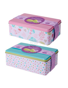 latta-biscotti,biscotti-macarons,scatola-regalo-biscotti,biscotti-vaniglia-fragola,ingrosso-dolciumi,espositore-biscotti
