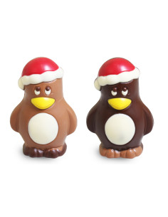 nevino-pinguino-cioccolato,pinguino-cioccolato,figura-cioccolato,cioccolato-regalo,dolci-stagionali,cioccolato-confezionato 2