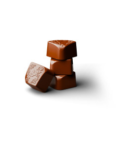 amoretta-japan-style,cioccolatini-gourmet,praline-ripiene,yuzu-matcha,scatola-regalo-cioccolato,cioccolatini-giapponesi 2