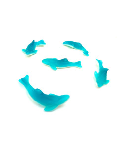 🦈 Squali Fini bianco e azzurro al gusto panna e frutta – 1 kg