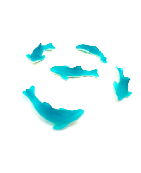 🦈 Squali Fini bianco e azzurro al gusto panna e frutta – 1 kg