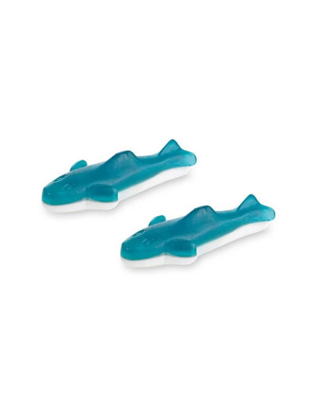 🦈 Squali Fini bianco e azzurro al gusto panna e frutta – 1 kg
