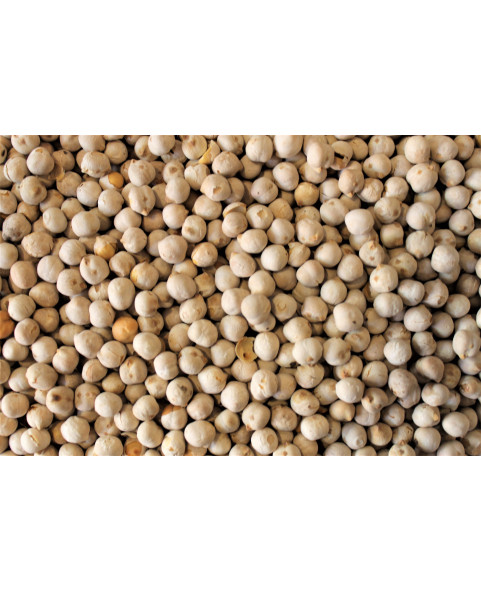 -ingrosso-Frutta Secca e Disidratata,ceci-tostati,snack-salati,legumi-tostati,ceci-croccanti,sfusi-5kg,uso-alimentare